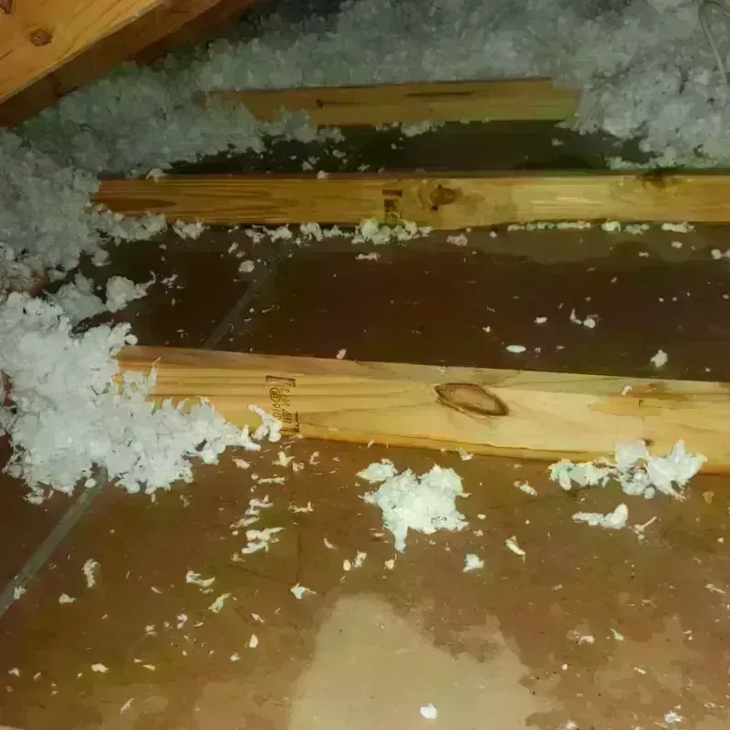 Attic Water Damage in Daviess County, IN